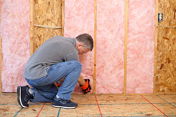 Best Specialized Insulation Services in Huntington Beach, CA